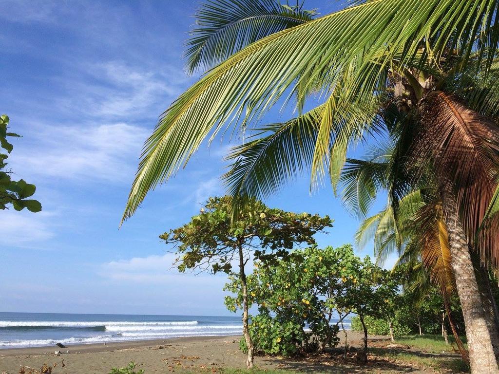 Guava Lodge Playa Matapalo Exterior foto