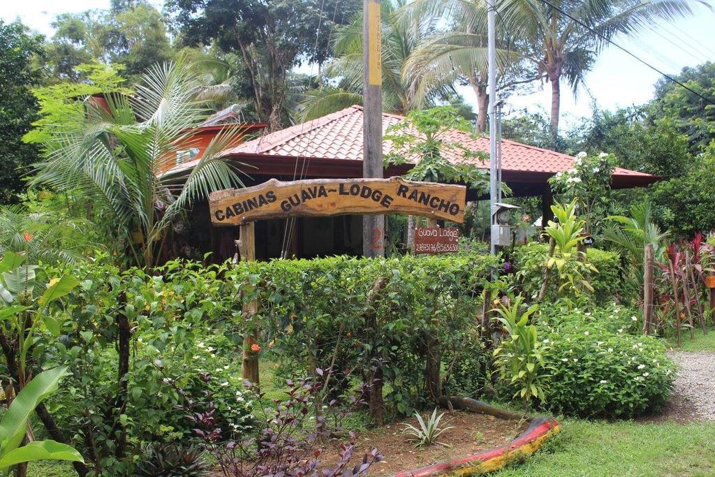 Guava Lodge Playa Matapalo Exterior foto