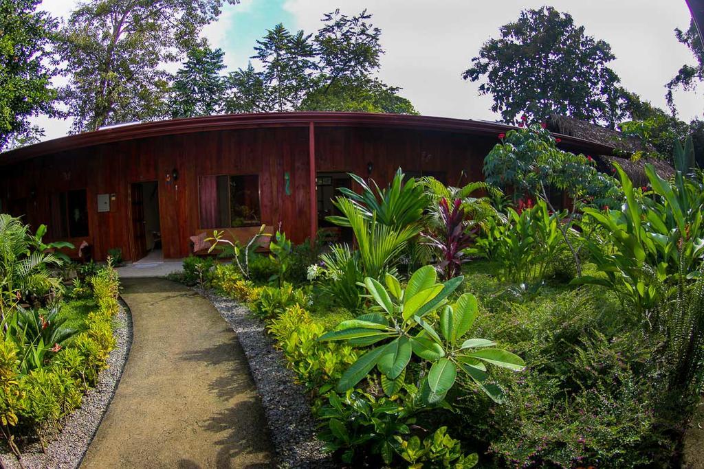Guava Lodge Playa Matapalo Exterior foto